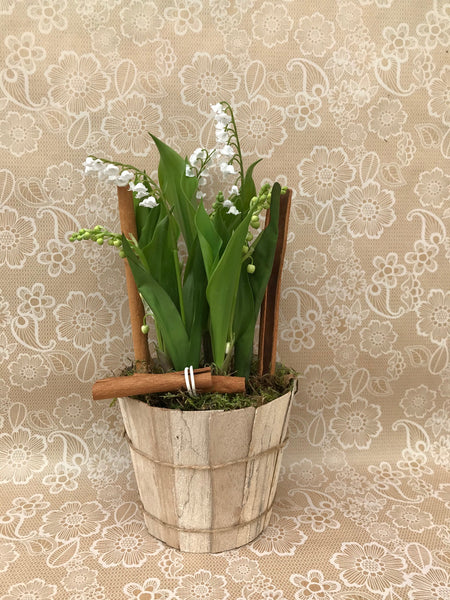 Muguet