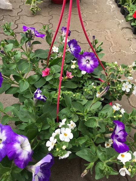 Suspension Jardin