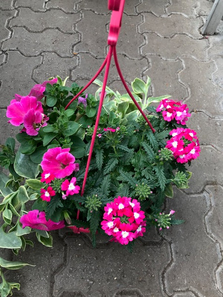 Suspension Jardin