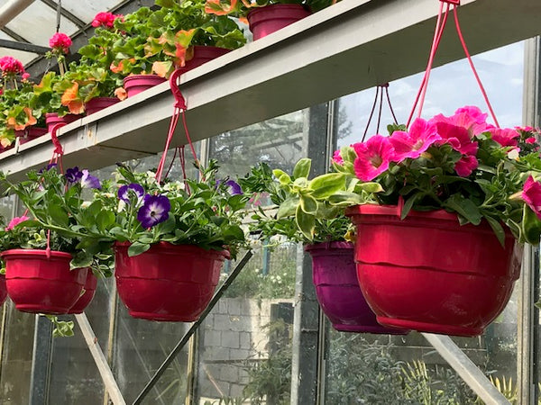 Suspension Jardin